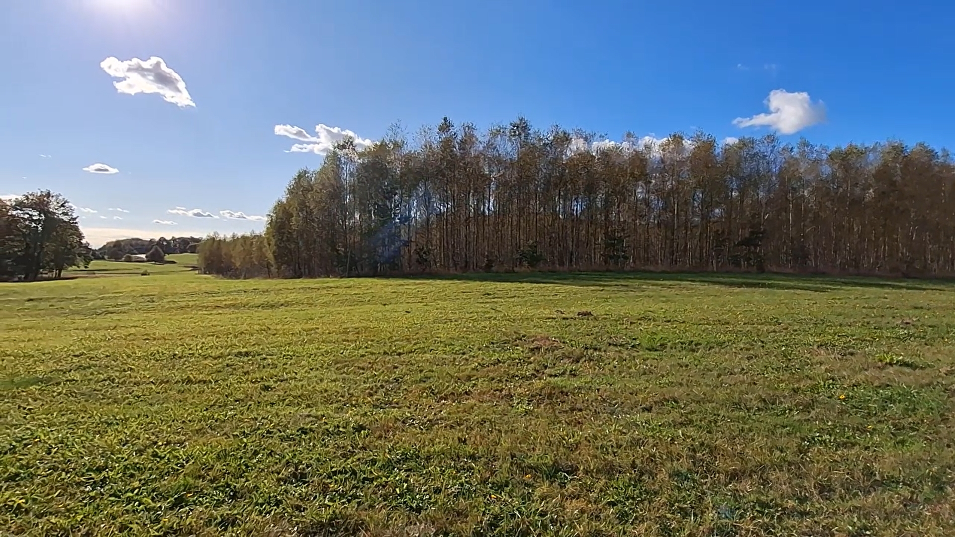 z9